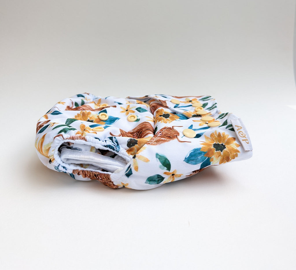 Highland Cow Cloth Nappy Cloth designed and owned cloth nappies. Sustainable baby products. Alice&Patrick Boutique